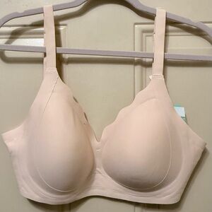 Mintreus Beige Wire Free Scalloped Bra with Adjustable Straps and Extension 2XL
